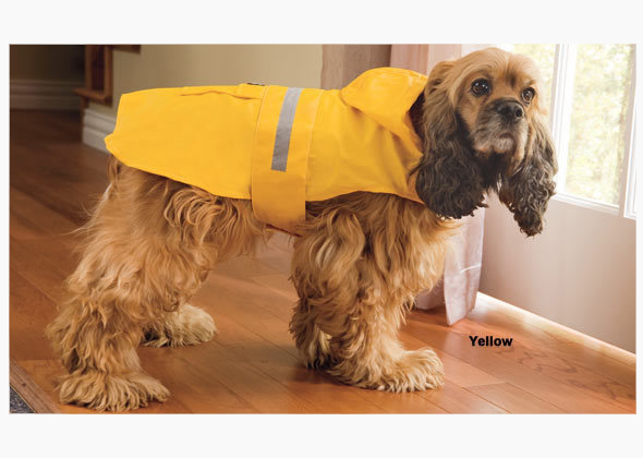 Doctors Foster and Smith Seattle Slicker