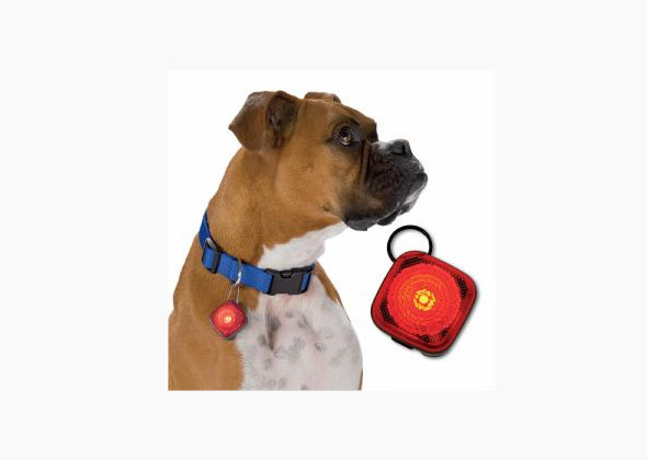 FetchDog Beacon Safety Dog Light