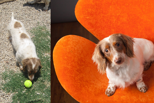 Franklin before and after