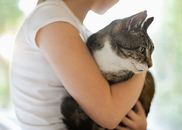 Teach your child how to hold a cat.