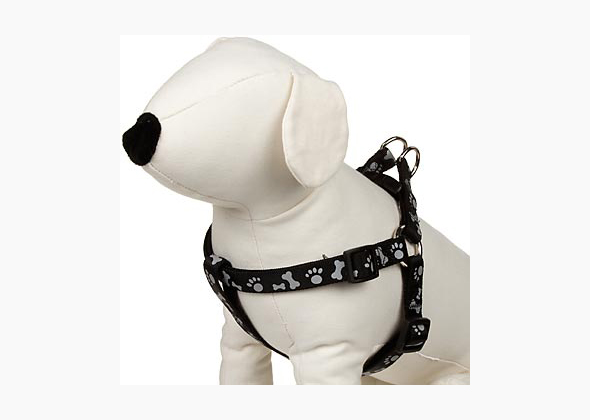 Petco Step In Harness